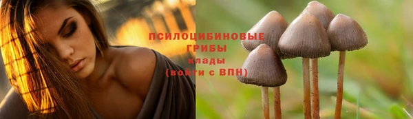 винт Балабаново